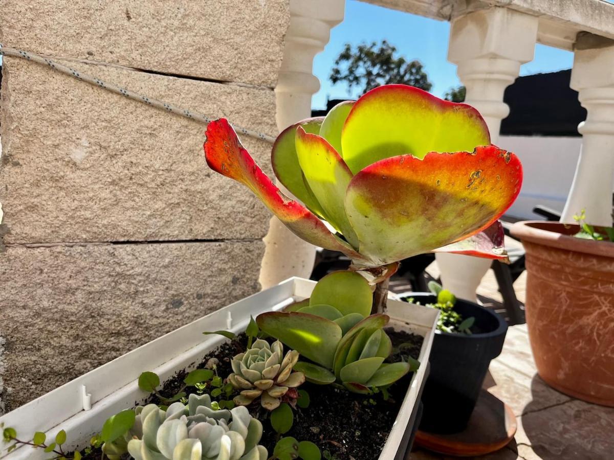 Сasa de vacaciones Tgnfunfam - Private Terrace, Bbq, Pool And Beach! Tarragona